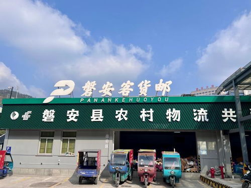 大陸_齊魯網(wǎng)