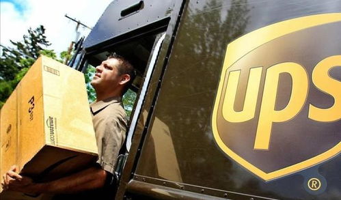 苦撐7年,一夜破產 順豐的 親兒子 ,徹底被拋棄了