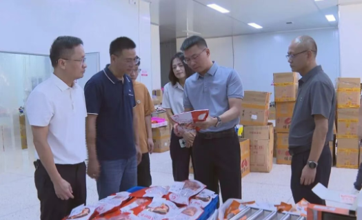 縣長調研電商及口岸經濟工作，聚焦海淘物流發展新路徑